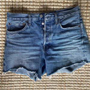 Parker Long Loose Vintage Shorts, Skywave size 27
